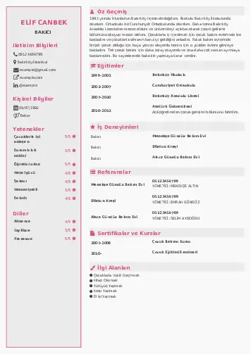 Bakıcı Cv Örnekleri cv indir